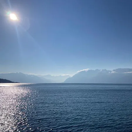 勒里瓦奇湖景酒店 吕特里
