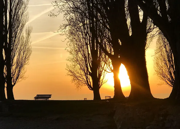 Rivage Restaurant Ξενοδοχείο Lutry