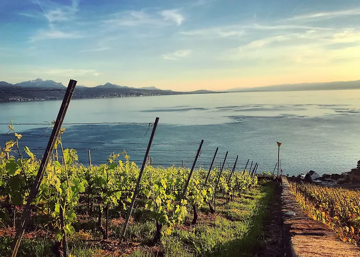 Ξενοδοχείο Rivage Restaurant Lutry