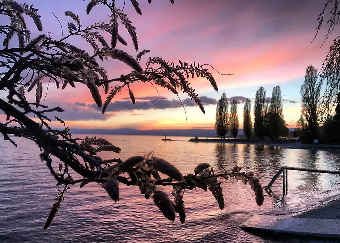 Rivage Restaurant Ξενοδοχείο Lutry