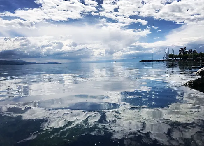 Rivage Restaurant 3* Lutry