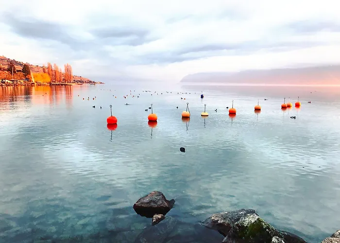 Rivage Restaurant 酒店 吕特里